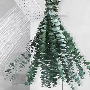 12 PCS Dried Eucalyptus Stems for Shower - 17" Large Preserved Eucalyptus Leaves Bundle Made from Real Fresh Eucalyptus Green Plant Artificial Flowers Bouquet Hanging