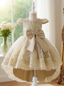 champagne color dress with floral embroidery train design elegant and beautiful dress suitable for girls birthday party anniversary and prom, formal