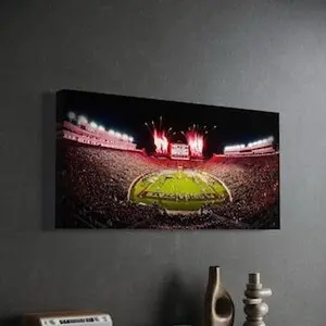 HOT!!!Florida State Seminols "Seminole Skyfire" Doak Campbell Stadium