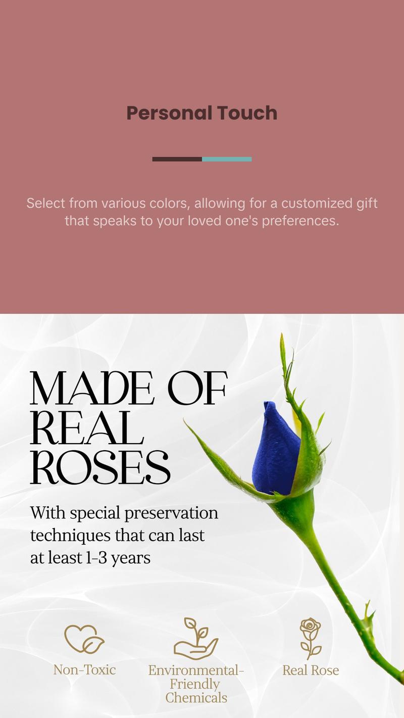 Immortal Love Black Heart | 7 Blue Roses Box Decor Immortal Love Black Heart | 7 Blue Roses Box Decor