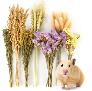 Sukh 60Pcs Nature Flower Herb Hamster Bedding - Cage Enclosure Habitat Decor Mate Small Animal Natural Ear of Grain Sprays for Syrian Dwarf Hamsters Gerbils Rabbit Other Pets