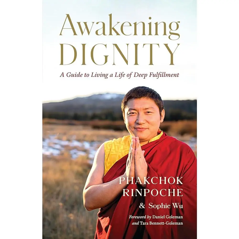 Awakening Dignity: English Indie Book by Phakchok Rinpoche - Buddhist Self-Help Guide for Cultivating Dignity, Overcoming Anxiety, Embracing Adversity (Humanities & Social Sciences Category), Indie Books, Buddhist Perspective