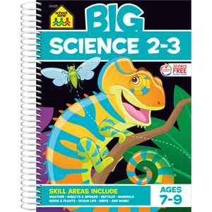 Big Science 2-3 Workbook (Spiral Bound)