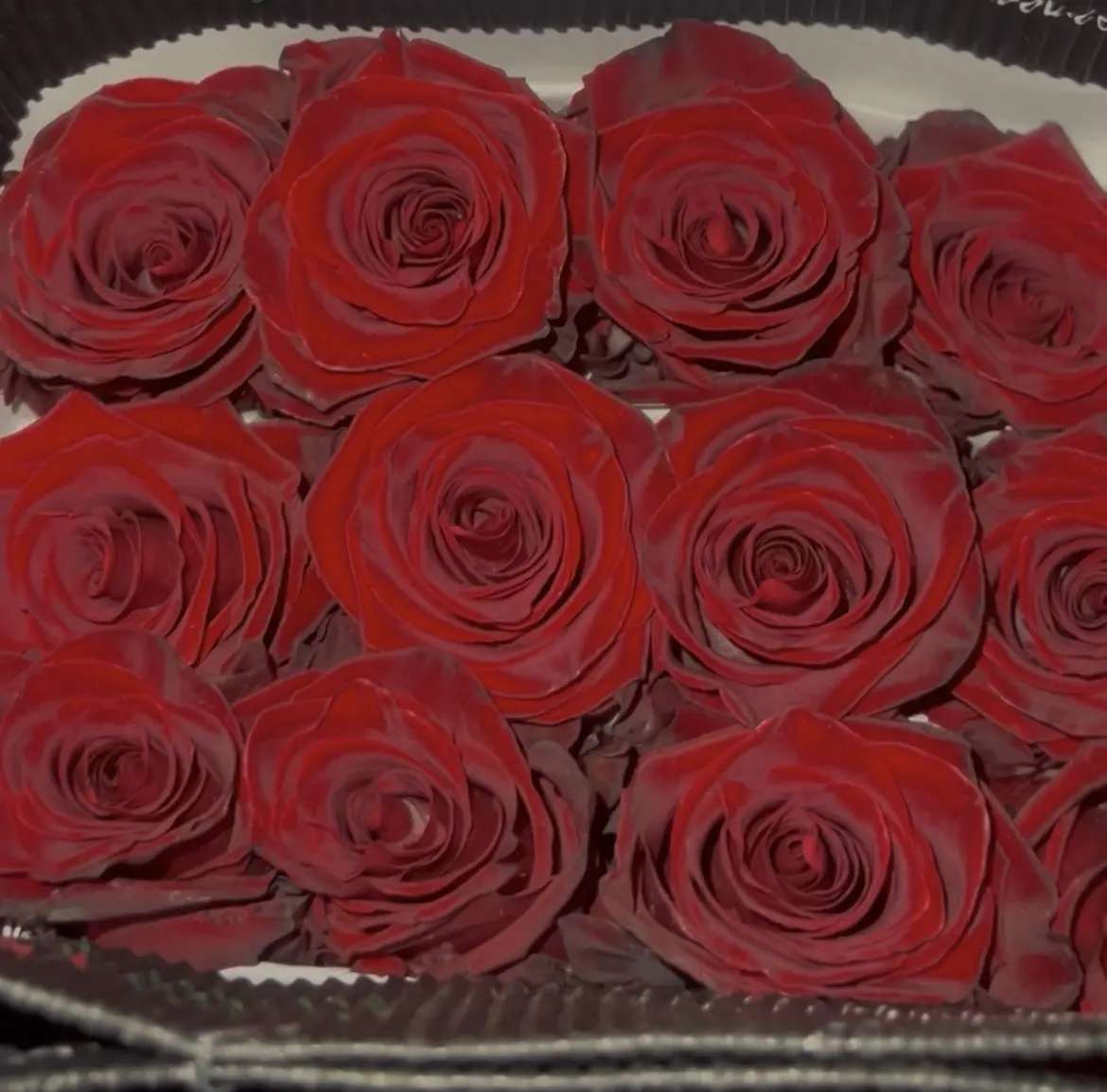 PREMIUM RED ECUADORIAN ROSES (REAL ROSES) PREMIUM RED ECUADORIAN ROSES (REAL ROSES)