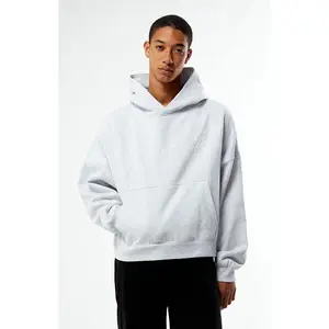 Pacsun Men's Arcadia Puff Graphics Cropped Hoodie
