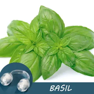 Basil Essential Oil Nasal Inhaler