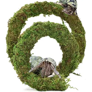 Bendable Hermit Crab Climbing Toys, Adjustable  Moss Vine for Pet  Hermet Crab Habitat Hideouts Tank Terrarium Accessories ( Green, 20Inch) PVC Reptile with Sliding Doors