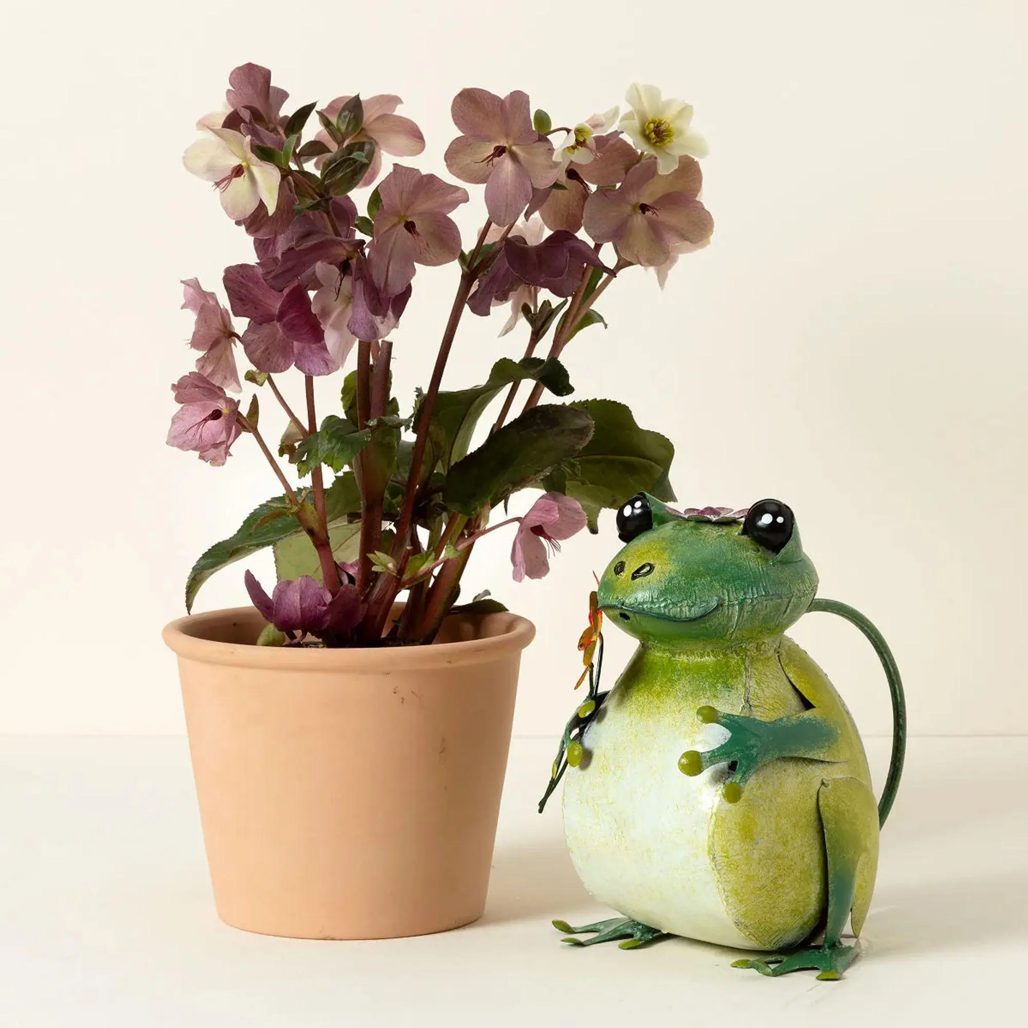 Fred the Frog Watering Can Fred the Frog Watering Can