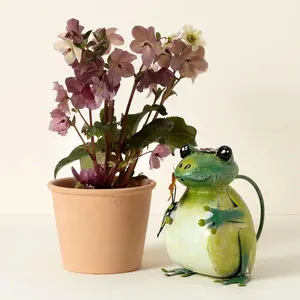 Fred the Frog Watering Can Fred the Frog Watering Can