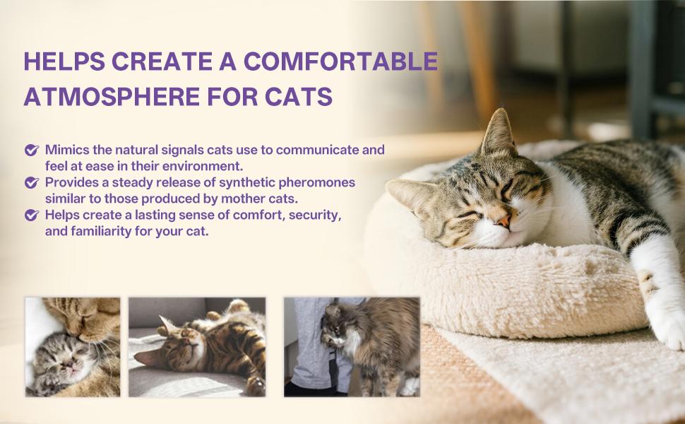 30 Day Cat Calming Plug In Pheromone Diffuser Starter Kit, 48ml*2 - Helps Reduce Common Signs of Stress in Cats & Kittens, Enhanced Calming