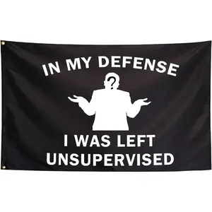 In My Defense I Was Left Unsupervisored Funny Flags For Room Guys Meme Cool Flags Banner 3x5 Feet College Dorm Bedroom Wall Man Cave Girls Frat Indoor Outdoor Gifts
