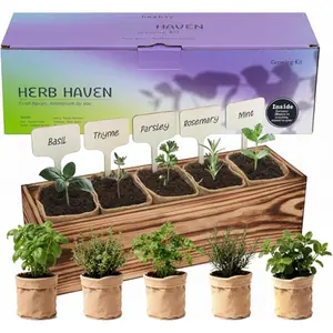 5  Garden Kit with Wooden Box - Basil, Thyme, Parsley, Rosemary, Mint - Windowsill  Garden for Kitchen - Mother's Day  for Mom, Gardening  for Women - Birthday Housewarming