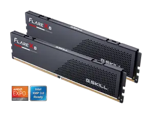 G.SKILL Flare X5 64GB (2 x 32GB) 288-Pin PC RAM DDR5 6000 (PC5 48000) Desktop Memory Model F5-6000J3636F32GX2-FX5