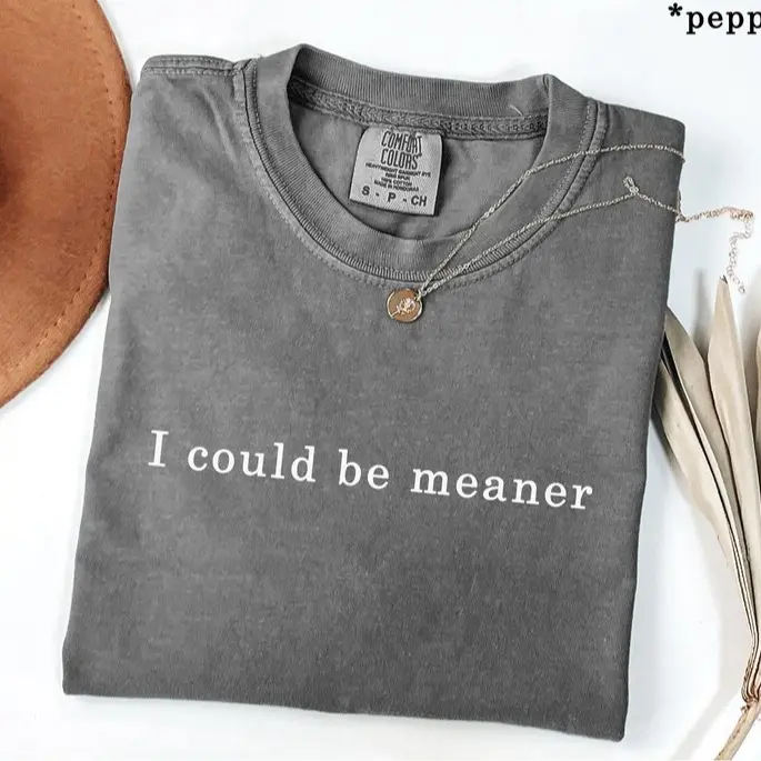 Comfort ColorsI Could Be Meaner T-Shirt, Soft Cotton Crewneck Shirt for Men and Women, Gift for Him or Her, Unisex Stylish Fit Top