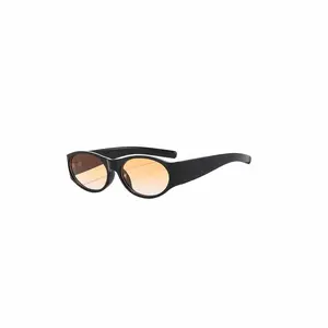 DAMAGE ASIA OPTICALS Classic Oval Sunglasses