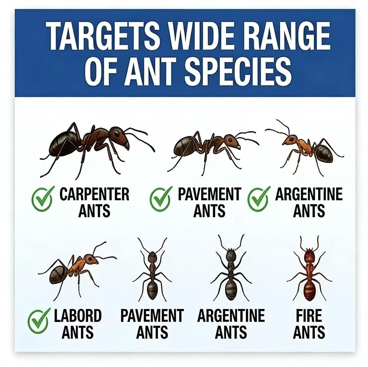 Effective Ant Killer Bait Gel (2 Pieces) | Professional Grade Ant Remover for Home