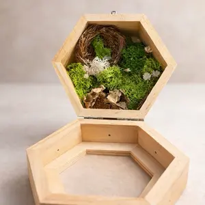 Mini baby jumping spider enclosure