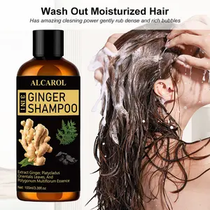 Ginger Hair Care Shampoo with Platycladus Orientalis & Polygonum Multiflorum, Natural Hair Growth Shampoo, Reduce Split Ends, Strengthen Hair, Gentle Cleansing Shampoo, 100ml/3.38fl.oz