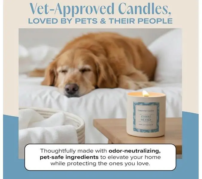 Companion Candles 9 oz Cuddle Me Cozy