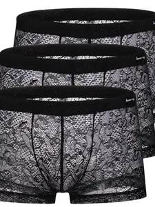 Men's Sexy Sheer Lace Underwear Set, Undergarments, Ditsy Floral Pattern, Breathable Silk Touch Fabric, Perfect for All Seasons, Daily Wear & Dates
