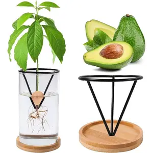 2-Pack Hydroponic Seedling Trays, Lightweight Plastic Conical Containers, Ideal for Avocado & Other Seedlings, Indoor/outdoor Gardening, Hydroponic Support