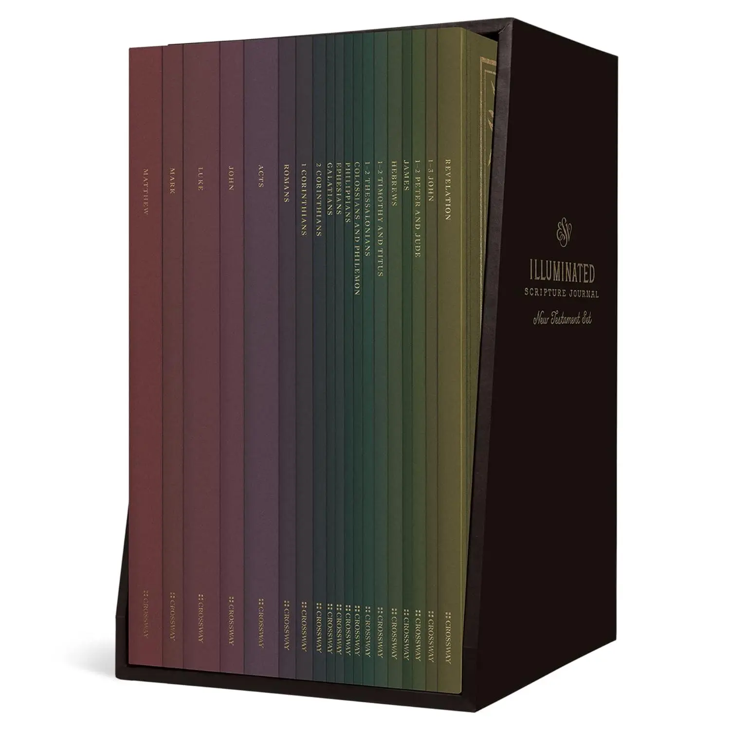 ESV Illuminated Scripture Journal:  Testament Set - Paperback