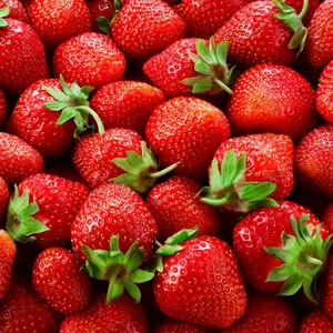 800+pcs Strawberry Seed Plants - Bare Root Plants to Grow Strawberries