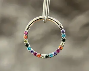 1 Piece Stunning Rainbow CZ Prong Set Front Hinged Segment Septum Ring - 16g - Internal Diameter 6mm, 8mm or 10mm