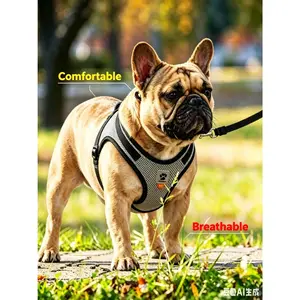 Dog Soft Mesh Vest Harness and Leash Set - No-Pull Comfort Design for Small Dogs Like Chihuahua, French Bulldog