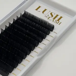CASHMERE MINK LASH TRAYS