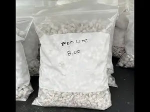 Perlite (Small Bag) Perlite (Small Bag)