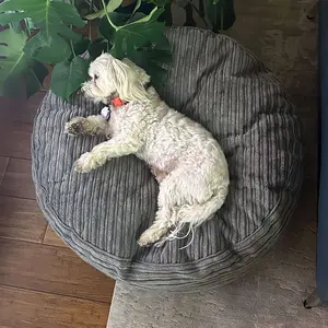 30 Inch Forever Dog Bed (Waterproof) - Terry Corduroy