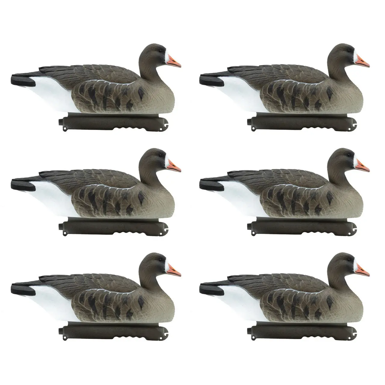 Final Approach Last Pass Specklebelly Goose Floating Decoys, 6 Pack