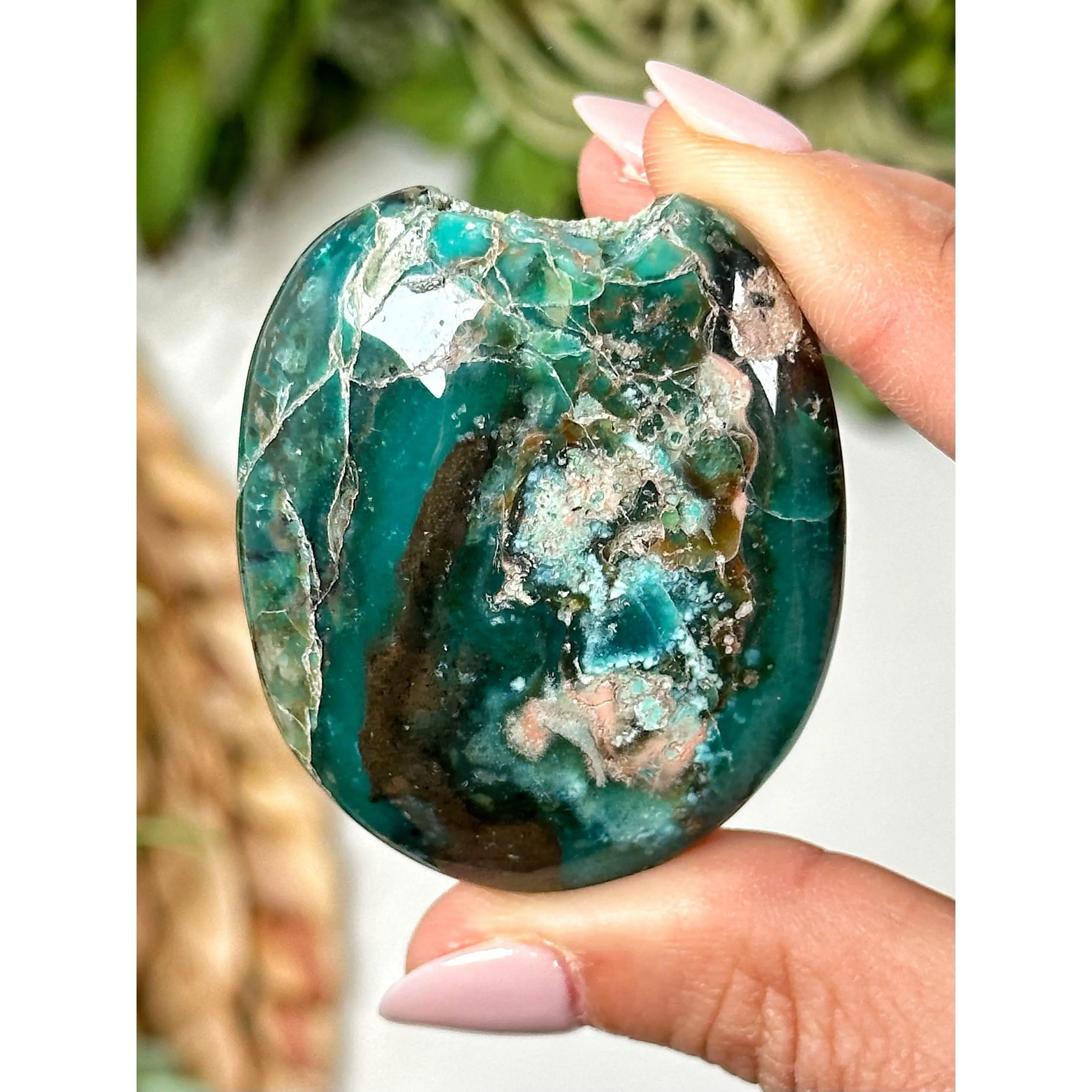 Blue Opalized Petrified Wood Palmstone - #2