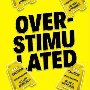 Funny Overstimulated Desk Sign Caution Do Not Approach 3D Printed Work Decor Perfect Size Good Quality