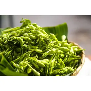 Locoro Salvadoreño 6 oz | Ingrediente Tradicional