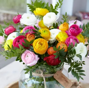 Mixed Ranunculus Seeds – Vibrant Cup-Shaped Flowers in a Bold Color Blend, Perfect for Bouquets & Borders, Non-GMO