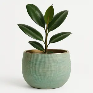 10 Textured Ceramic Planter