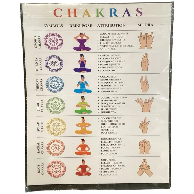 Chakras Reiki and Mudra Wall Poster - Detailed Symbols Reiki Pose Attribution Mudra Chart for Yoga and Meditation