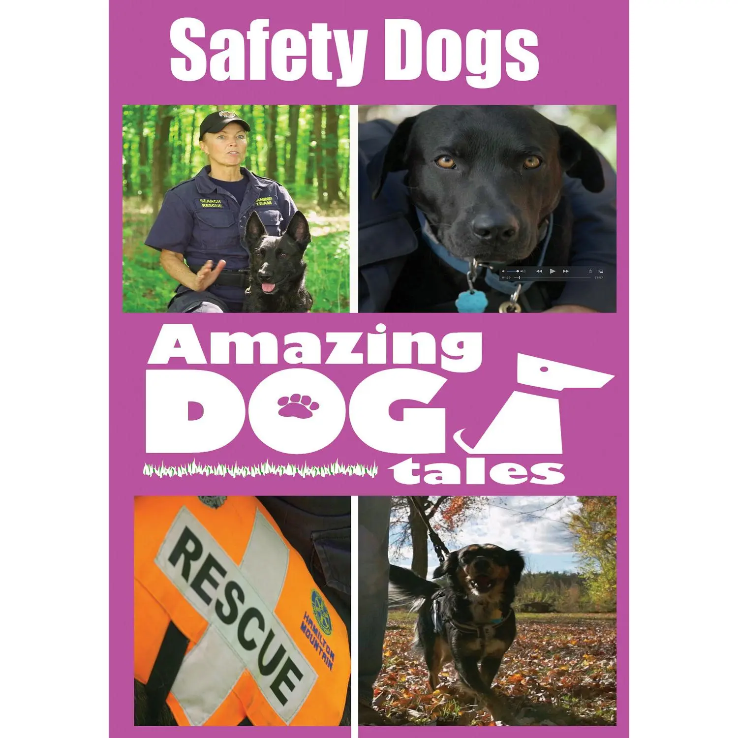 Amazing Dog Tales: Safety Dogs DVD Video Disc - Clicker Training, In-And-Outs Of Bite Safety, PTSD Soldiers, Recall Training Content By TMW Media Group, English, No Age Restriction