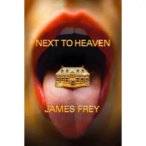 Next To Heaven: A Novel