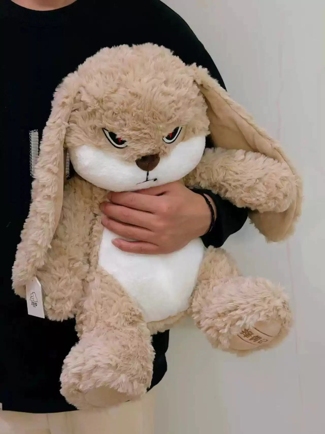 Diudiu Rabbit Plush Toy, Matchmaking Bunny Doll, Cute Little Rabbit, Viral Comfort Toy, Birthday Gift Cloth Doll