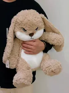 Diudiu Rabbit Plush Toy, Matchmaking Bunny Doll, Cute Little Rabbit, Viral Comfort Toy, Birthday Gift Cloth Doll