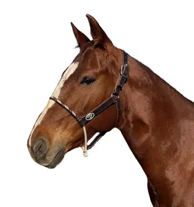 Elite Lariat Leather Halter