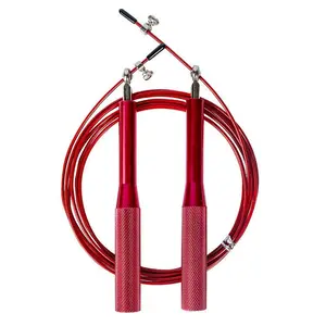 Double bearing timing and counting jump rope, steel wire jump rope