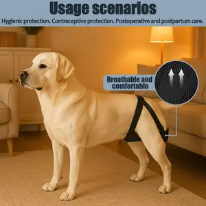 Breathable Mesh Doggy Period Underwear, Washable Adjustable Anti-Interference, Suitable for Large Medium Small Dogs, Outdoor Training Pants