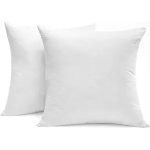 Luxury Goose Down Feather Pillow Inserts - 22x22IN, Double Layered Down-Proof Design, Ultra-Soft Cover, High Fill Weight, Pack of 2, White