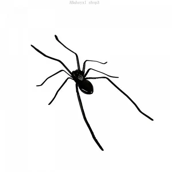 Spider Fridge Magnet, Realistic Spider Magnets, Lifelike Spider Fridge Magnets, Cute Spiders Designs Decorations, Removeable Indoor Outdoor Magnetic Decals, for Refrigerator, Garage Door, or CarABahsyxl shop3