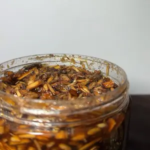Senegalese Sarkatane 12oz.