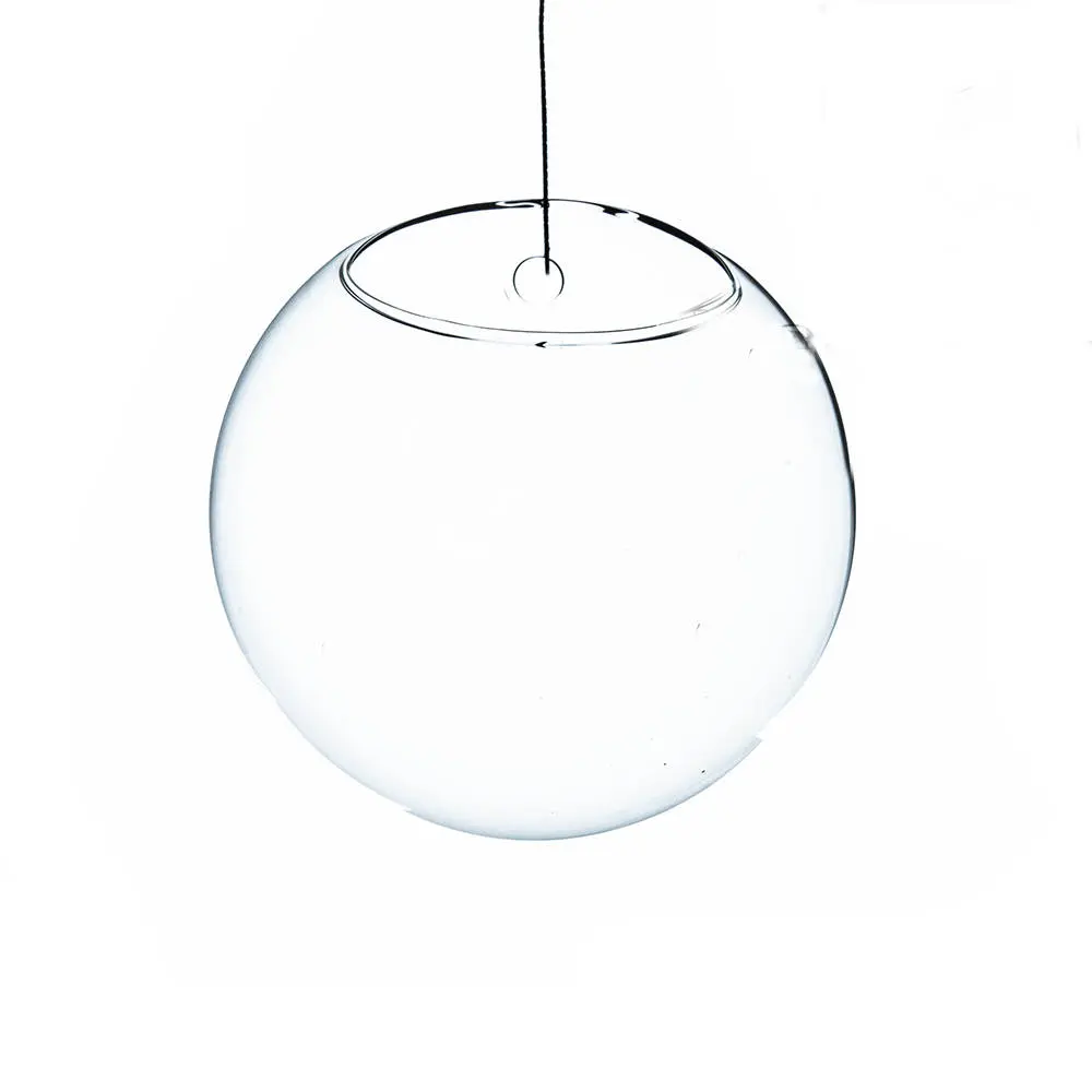 7 in. Dia. Clear Half-Round Wall Hanging Terrarium & Vase